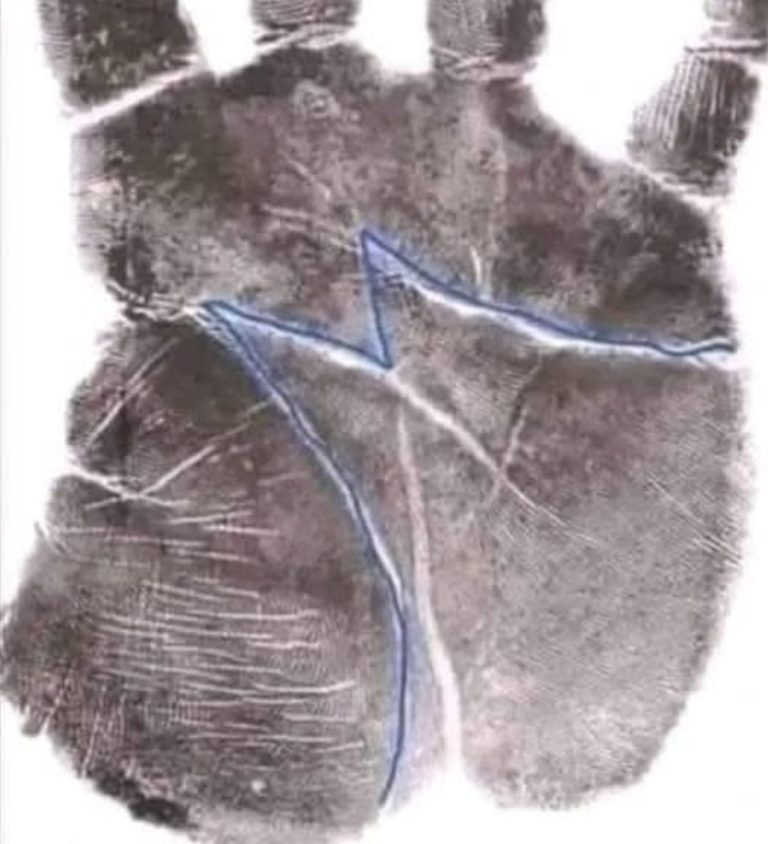 Chiromancja: Jak odczytać przyszłość z linii dłoni